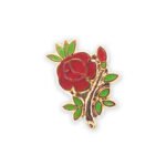 Masonic Orders Lapel Pin Badges