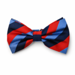 Striped One Journey Silk Bow Tie